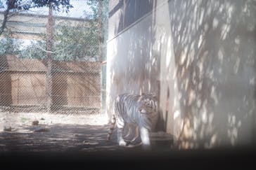 群馬サファリパークに投稿された画像（2022/3/7）