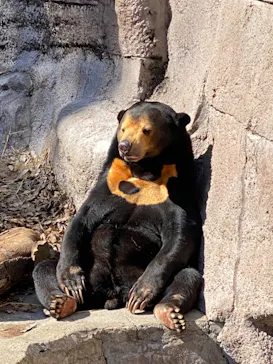 天王寺動物園に投稿された画像（2022/3/7）