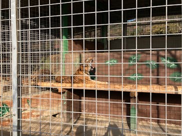 しろとり動物園に投稿された画像（2022/3/7）