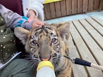 しろとり動物園に投稿された画像（2022/3/7）
