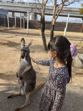 神戸どうぶつ王国に投稿された画像（2022/3/7）
