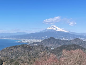 伊豆パノラマパークに投稿された画像（2022/3/7）