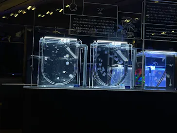 すみだ水族館に投稿された画像（2022/3/7）