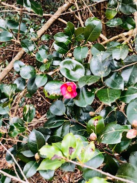 アソビュー株式会社　150881に投稿された画像（2022/3/7）