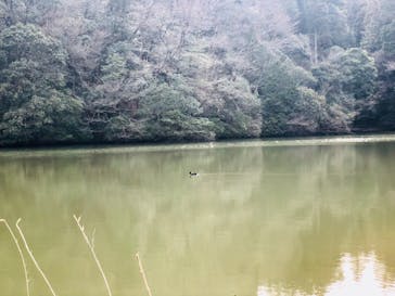 アソビュー株式会社　150881に投稿された画像（2022/3/7）