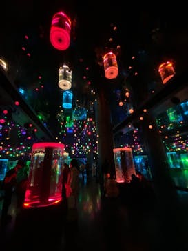 マクセル アクアパーク品川に投稿された画像（2022/3/7）