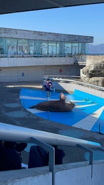 大分マリーンパレス水族館 「うみたまご」に投稿された画像（2022/3/7）