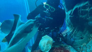 大分マリーンパレス水族館 「うみたまご」に投稿された画像（2022/3/7）