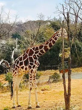 天王寺動物園に投稿された画像（2022/3/7）