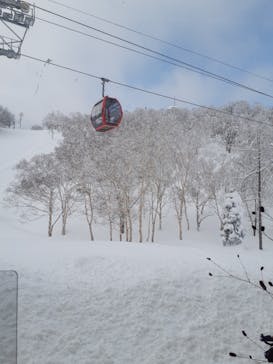 野沢温泉スキー場に投稿された画像（2022/3/8）