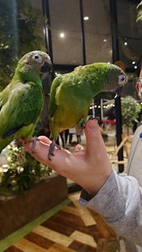 Moff animal world MARK IS みなとみらい店に投稿された画像（2022/3/8）