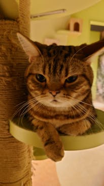 Moff animal world MARK IS みなとみらい店に投稿された画像（2022/3/8）