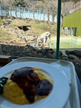 伊豆アニマルキングダムに投稿された画像（2022/3/8）