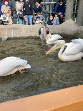 神戸どうぶつ王国に投稿された画像（2022/3/8）