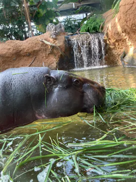 神戸どうぶつ王国に投稿された画像（2022/3/8）