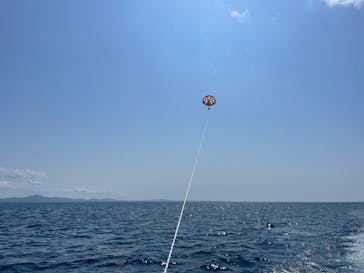 Sea World（シーワールド）に投稿された画像（2022/3/6）