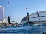 名古屋港水族館に投稿された画像（2022/3/8）