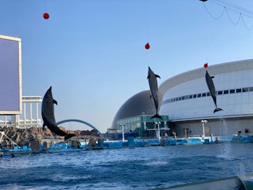 名古屋港水族館に投稿された画像（2022/3/8）