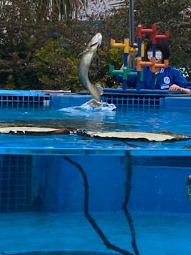 サンシャイン水族館に投稿された画像（2022/3/8）