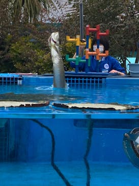 サンシャイン水族館に投稿された画像（2022/3/8）