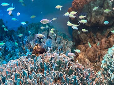 サンシャイン水族館に投稿された画像（2022/3/8）