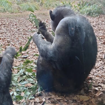 よこはま動物園ズーラシアに投稿された画像（2022/3/8）