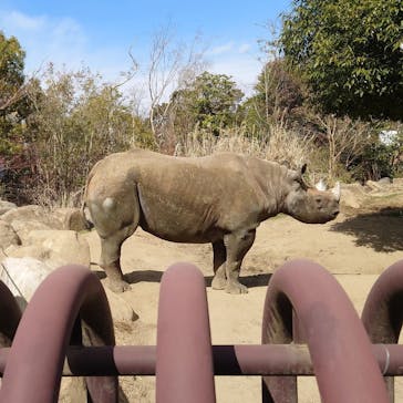 よこはま動物園ズーラシアに投稿された画像（2022/3/8）