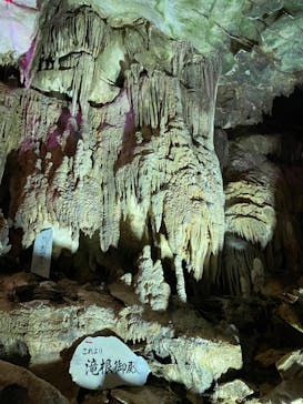 あぶくま洞に投稿された画像（2022/3/8）