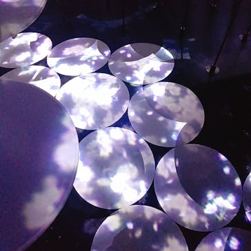 森ビル デジタルアート ミュージアム：エプソン チームラボボーダレスに投稿された画像（2022/3/8）