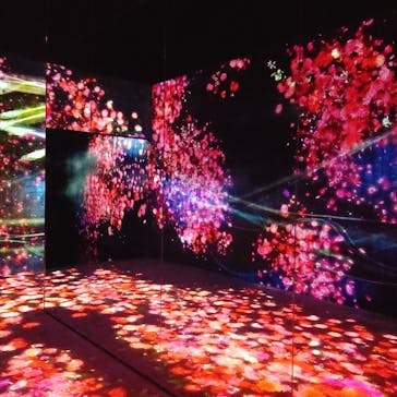 森ビル デジタルアート ミュージアム：エプソン チームラボボーダレスに投稿された画像（2022/3/8）