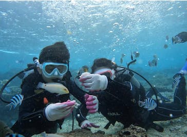 青の洞窟専門店　沖縄ダイビングショップ和に投稿された画像（2022/3/9）