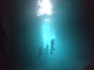 武藤潜水に投稿された画像（2022/3/9）