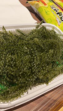 武藤潜水に投稿された画像（2022/3/9）