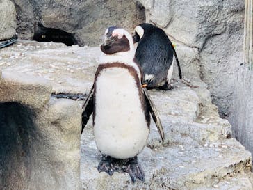 サンシャイン水族館に投稿された画像（2022/3/9）