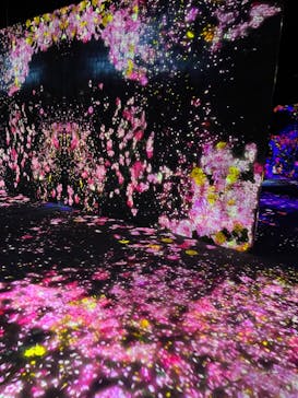 森ビル デジタルアート ミュージアム：エプソン チームラボボーダレスに投稿された画像（2022/3/9）