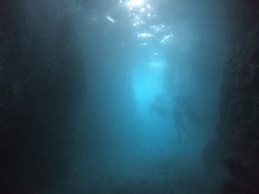 武藤潜水に投稿された画像（2022/3/9）