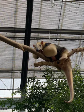 神戸どうぶつ王国に投稿された画像（2022/3/9）