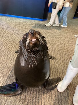 大分マリーンパレス水族館 「うみたまご」に投稿された画像（2022/3/9）