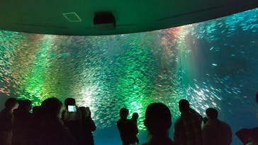 名古屋港水族館に投稿された画像（2022/3/9）