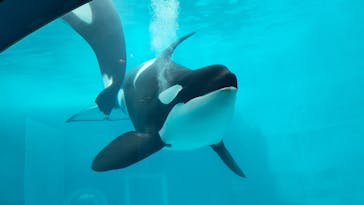 名古屋港水族館に投稿された画像（2022/3/9）