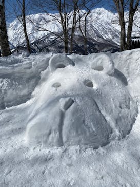 白馬岩岳スノーフィールドに投稿された画像（2022/3/9）