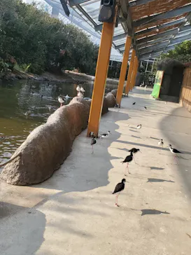 神戸どうぶつ王国に投稿された画像（2022/3/9）