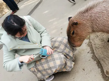 神戸どうぶつ王国に投稿された画像（2022/3/9）