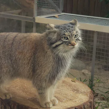 神戸どうぶつ王国に投稿された画像（2022/3/9）