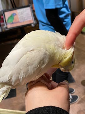 Moff animal world MARK IS みなとみらい店に投稿された画像（2022/3/9）