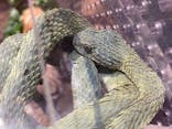 体感型動物園iZooに投稿された画像（2022/3/10）