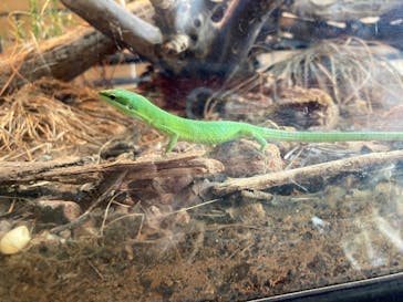 体感型動物園iZooに投稿された画像（2022/3/9）