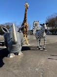 群馬サファリパークに投稿された画像（2022/3/10）