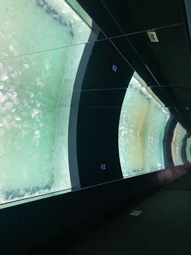 アクアワールド茨城県大洗水族館に投稿された画像（2022/3/10）