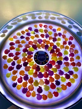 古宇利オーシャンタワーに投稿された画像（2022/3/10）